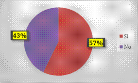 ¿Usted imparte asignatura a estudiantes con discapacidad?
