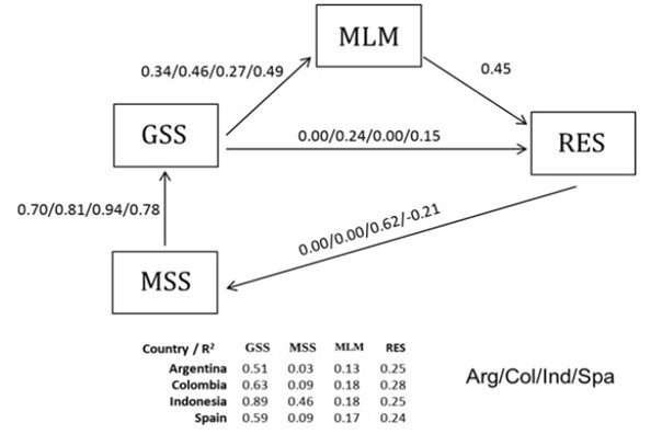 Path analysis (country values separated by slash) ISS (Instrumental Social Support), GSS (General Social Support), MiL (Meaning in Life), RES (Resilience).